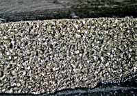 /album/galerie-photos/saint-creac-pyrite-5704-mod1-jpg1/
